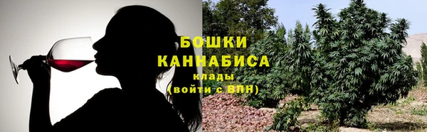 гидра Рославль